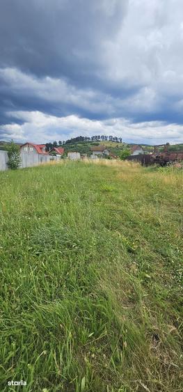 Teren de 1450 mp, în Tărlungeni