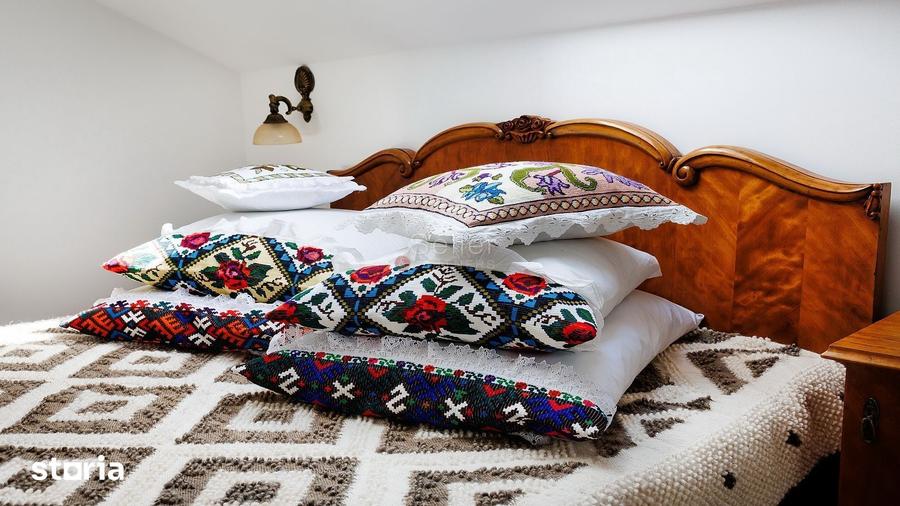 Casă cu Teren 16500 Mp în Crizbav