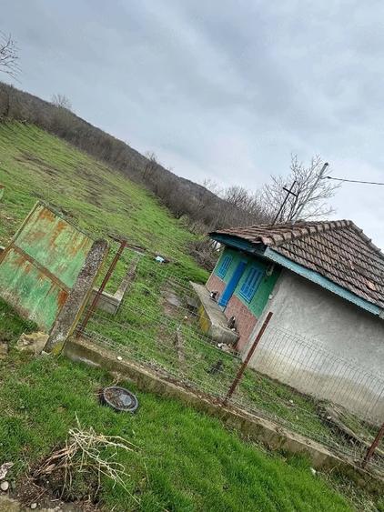 Teren de 12000 mp, în Central