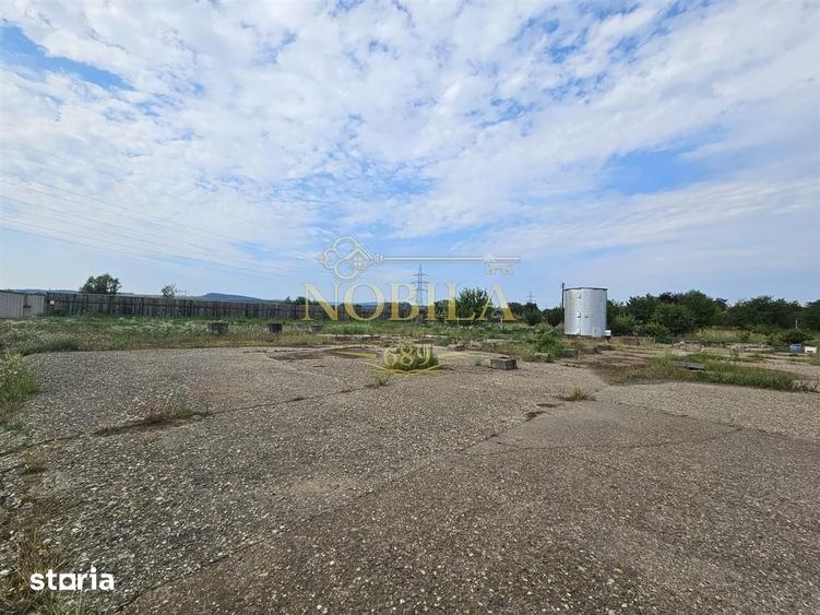 Teren de 10000 mp, în Ștefan cel Mare
