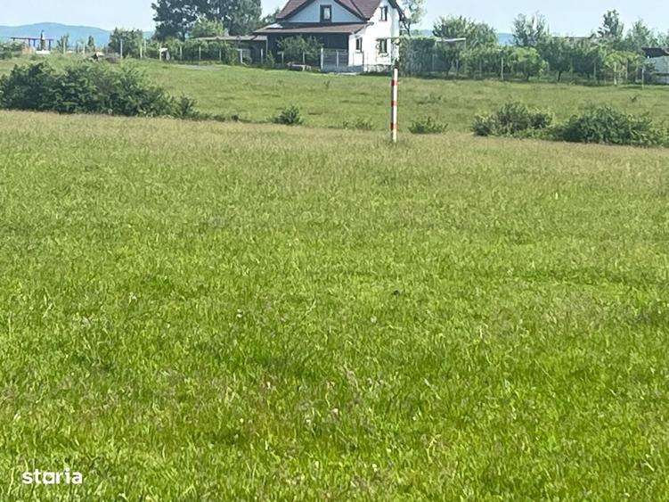Spațiu comercial, în Central