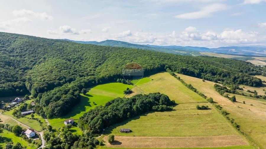 Casă individuală cu 7 camere cu Teren 16873 Mp în Mărcuș