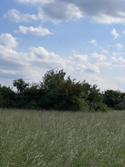 Teren de 20 mp, în Săsar