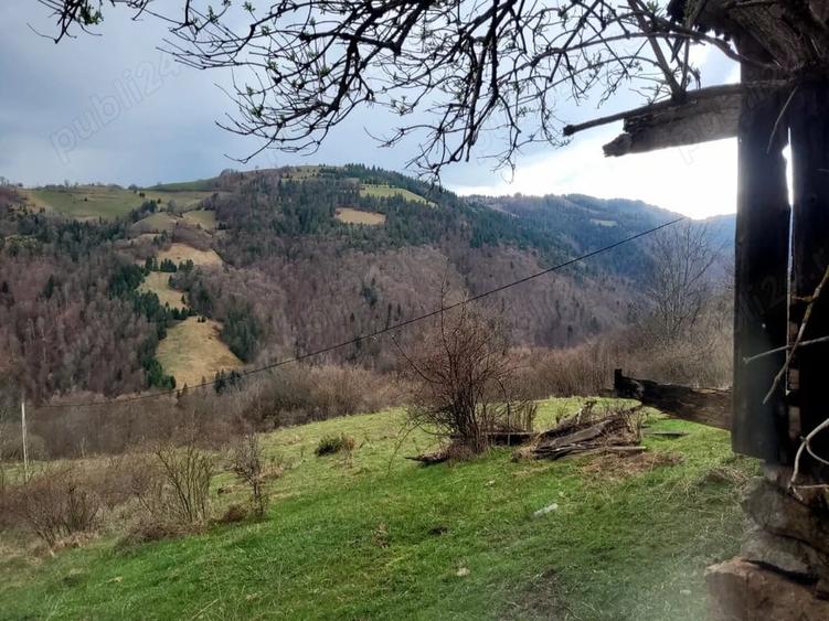 Teren în Central