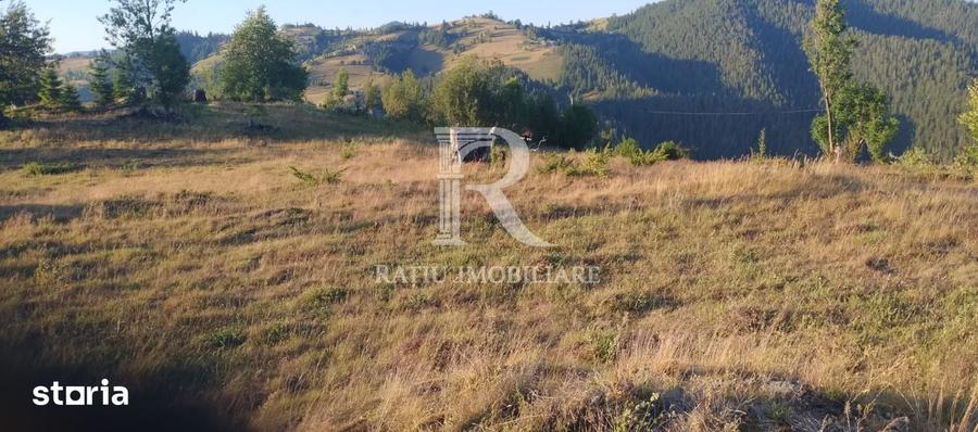 Teren de 3000 mp, în Pleșcuța