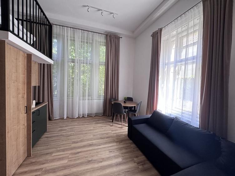 Apartament în Dosu Bricii
