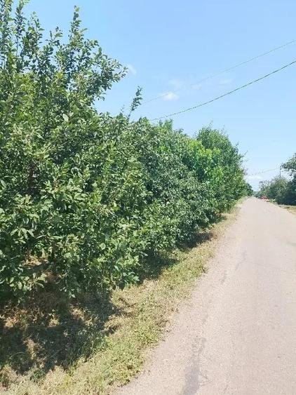 Casă cu 4 camere în Izvoarele