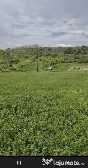 Vand teren ,panorama deosebita, zona Caline?ti -Vrane?ti, la 12 km de Pitesti - 2