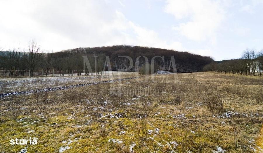 Teren de 6300 mp, în Baciu