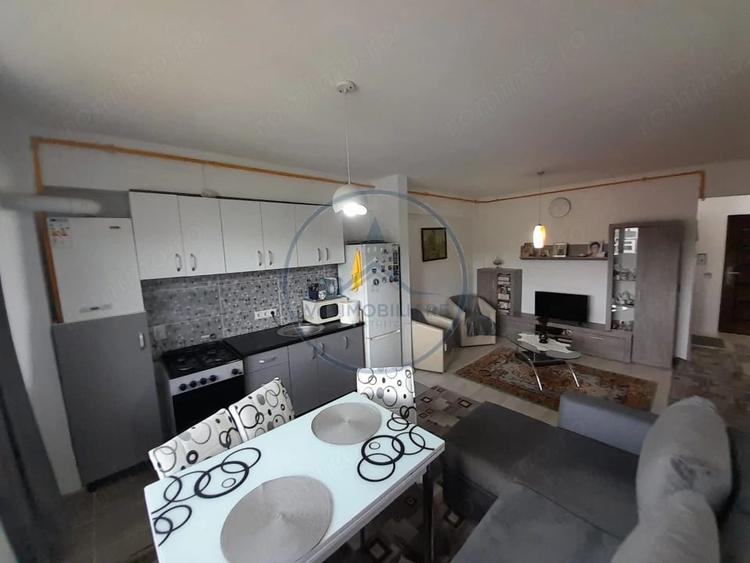 Apartament 2 camere, zona Malinului - 11
