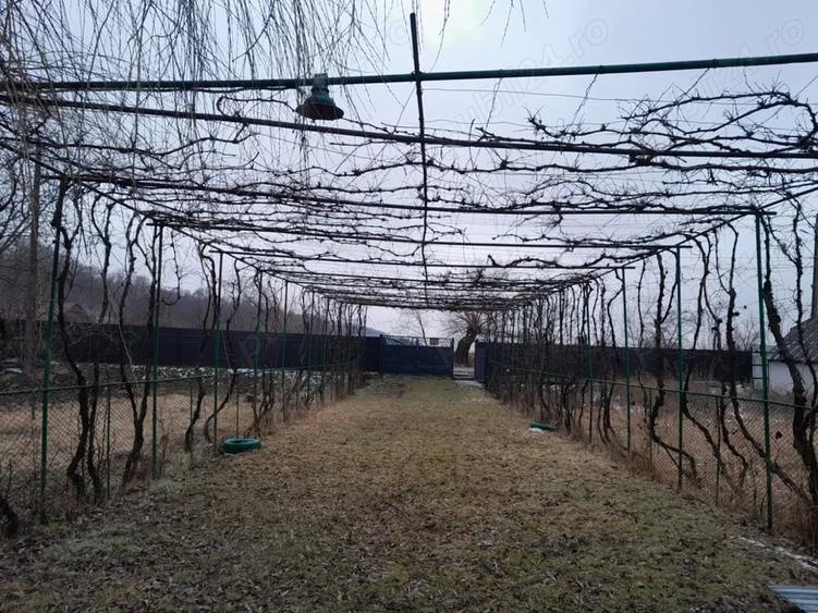 Casă cu 2 camere în Central