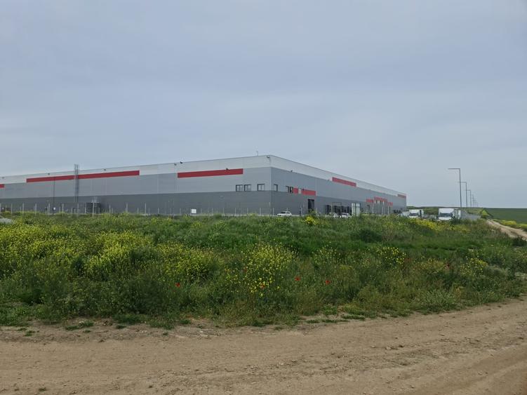 Teren Construcții intravilan de 25000 mp, în Lazu