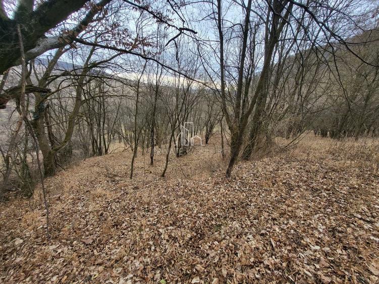 Teren intravilan de 10000 mp, în Periferie