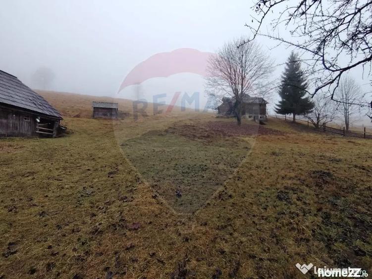 Teren de 26238 mp, în Dorna-Arini