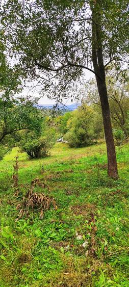 Teren de 5400 mp, în Bughea de Jos