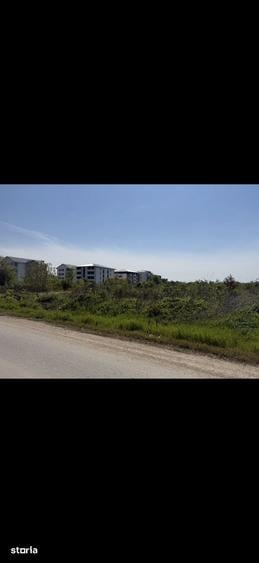 Teren de 85000 mp, în Sud