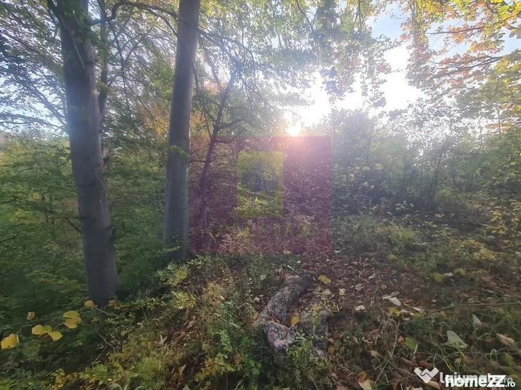 Teren de 3092 mp, în Telega