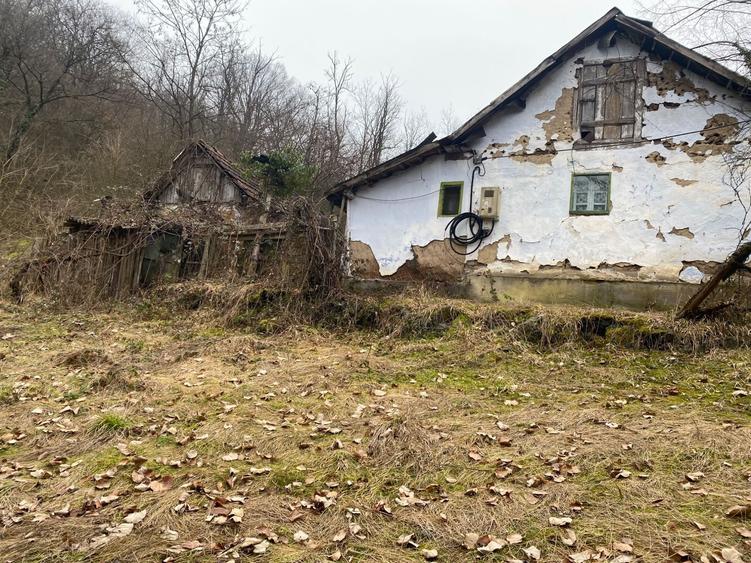 Casă cu 2 camere în Hălăliș
