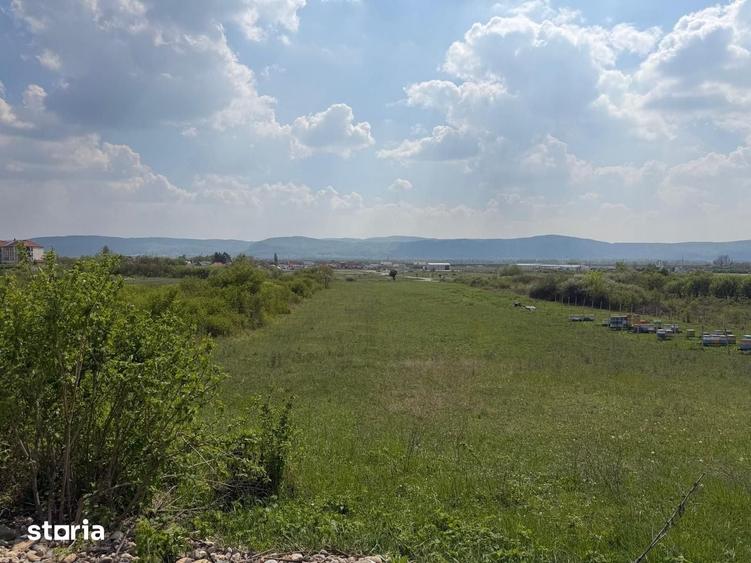 Teren de 5760 mp, în Central