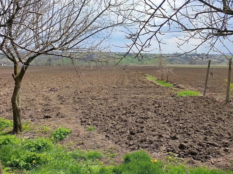 Casă cu 4 camere cu Teren 3045 Mp în Oțeleni