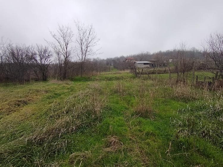 Teren Construcții intravilan de 2000 mp, în Brestei