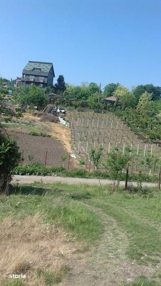 Casă cu 4 camere decomandat cu Teren 952 Mp în Stănești