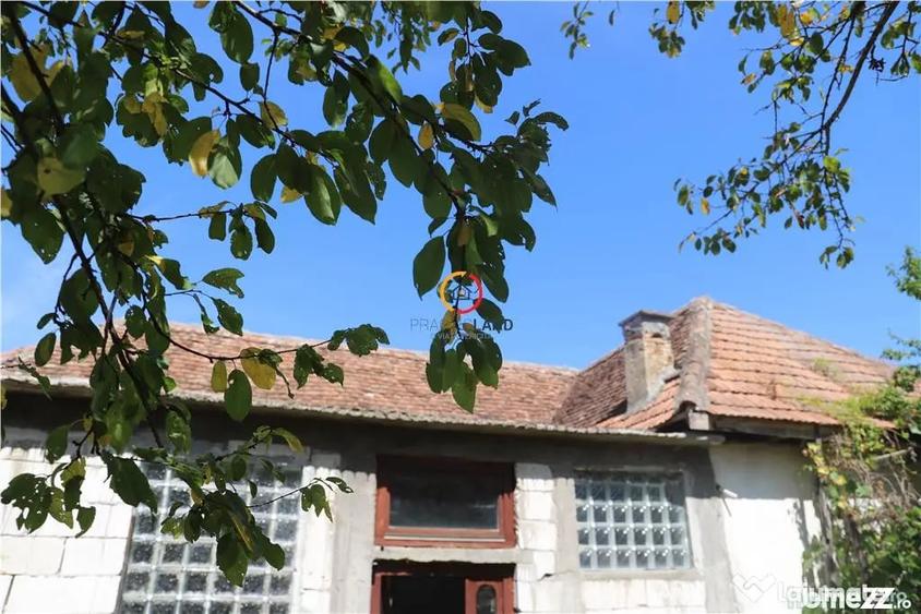 Casă cu 3 camere cu Teren 2556 Mp în Bruiu