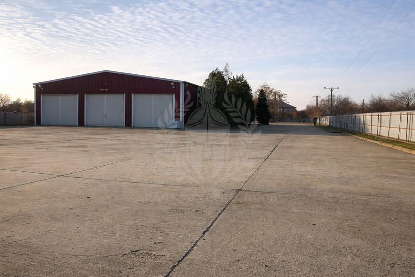Inchiriere Hala Industriala 450 mp, Bucov - 4,5 euro/mp - 1