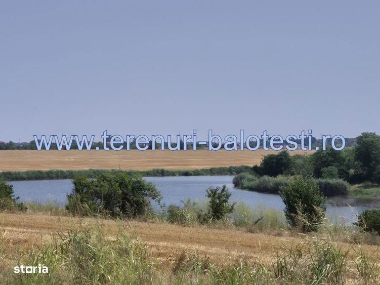 Teren de 550 mp, în Balotești