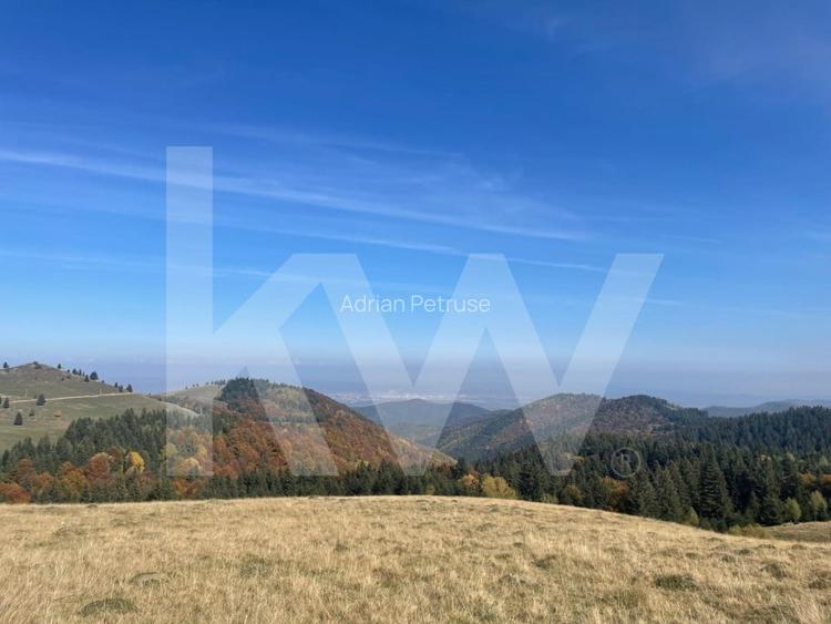 De vânzare teren în Păltiniș 40.000 EUR