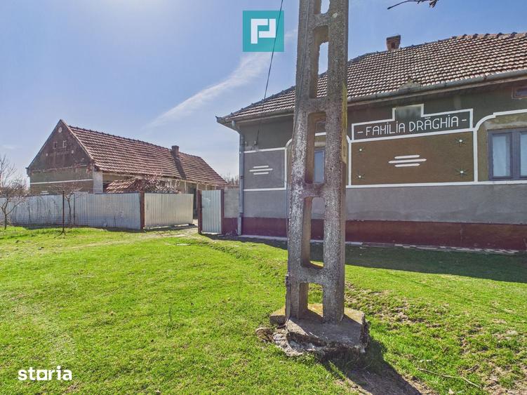 Casa cu teren de 6000 mp in Duboz, Timi? - 4