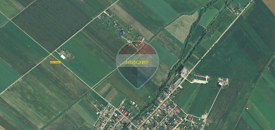 Teren Construcții intravilan de 503 mp, în Hălchiu