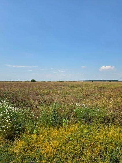 Teren agricol intravilan de 2600 mp, în Ștefăneștii de Jos