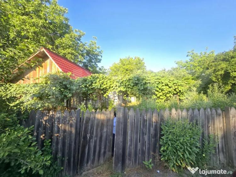 Casa pentru renovare completa cu curte de 385 mp in ora? - 3