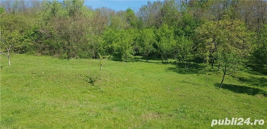 Teren de 2070 mp, în Vârfuri