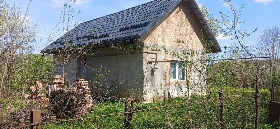 Casă cu Teren 8000 Mp în Mădăraș