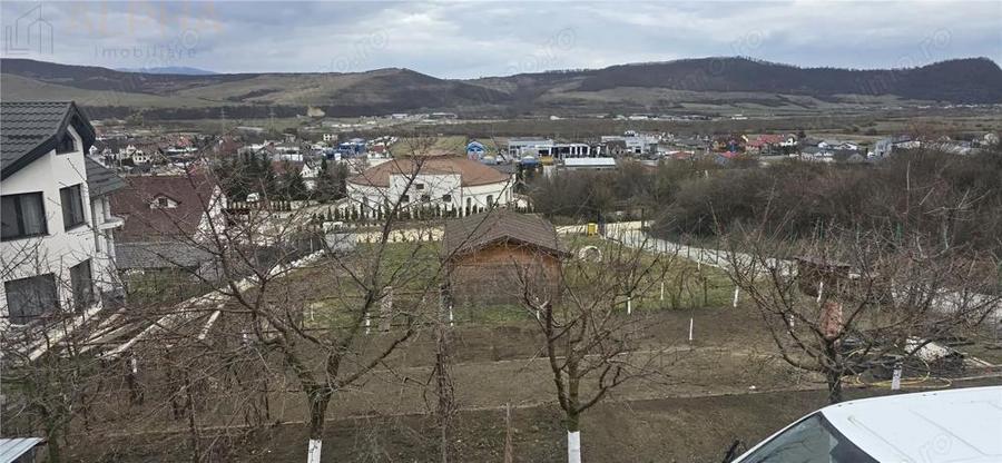 Casă cu Teren 1450 Mp în Viișoara