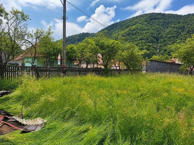 Teren de 4650 mp, în Ciucea