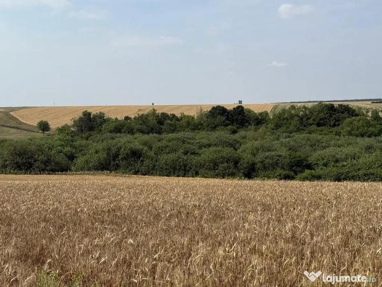 Teren intravilan Miersig, vedere la lac. 12,5 E/mp neg. C... - 6
