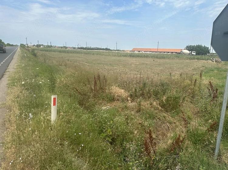 Teren de 2000 mp, în Măldăeni
