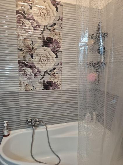 Apartament cu 2 camere decomandat în Roșu