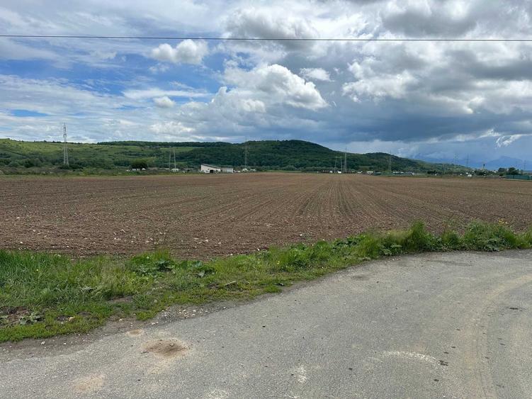 Vand teren extravilan 3.240 mp la strada * intre Selimbar si Bungard - 4