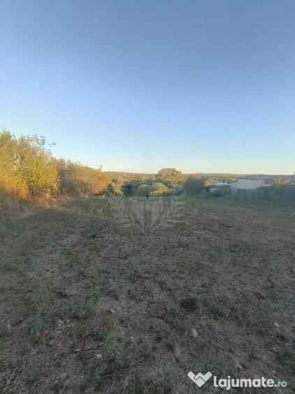 Teren în Plopu