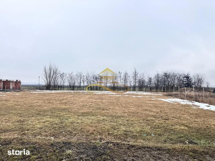 Teren de 900 mp, în Săucești