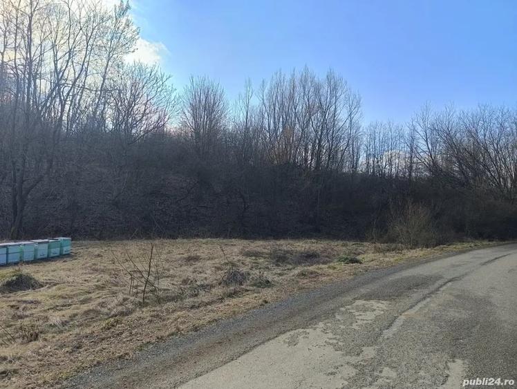 Teren de 4944 mp, în Dobra
