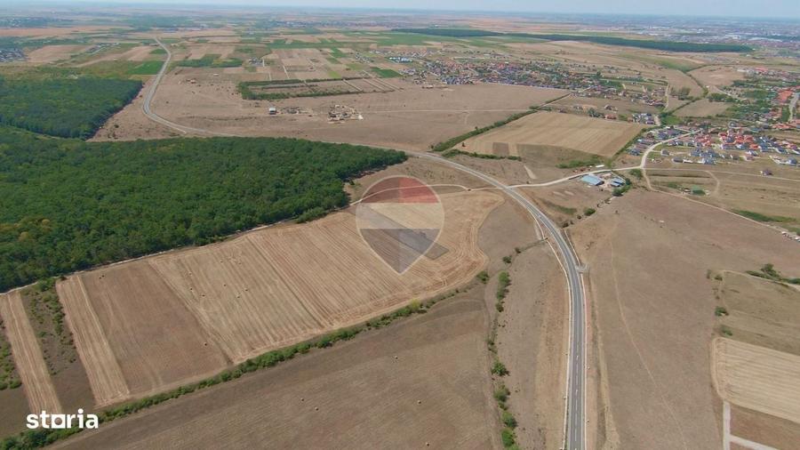 Spațiu comercial, în Băile Felix