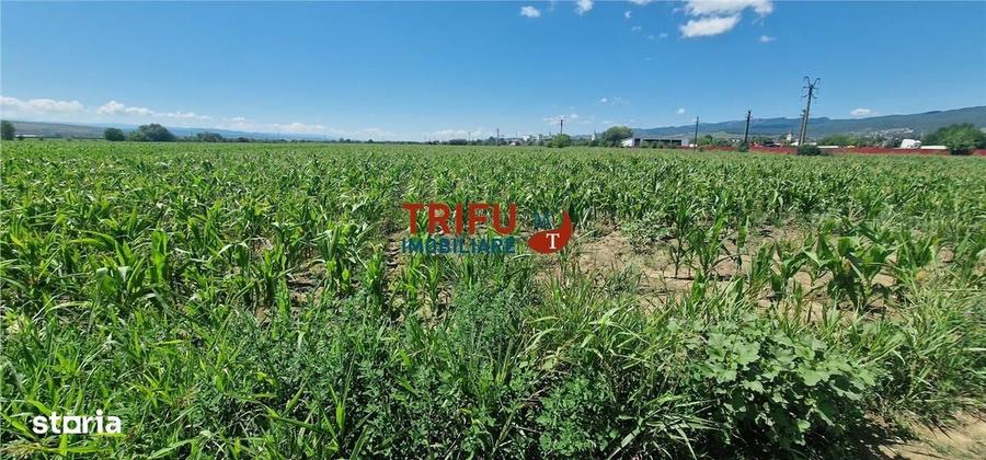 Teren de vanzare langa soseaua de centura, 5100 mp - 4