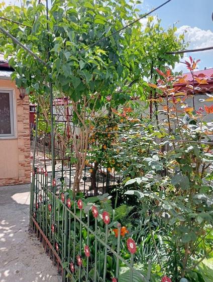 Casă cu 4 camere în Radu Negru