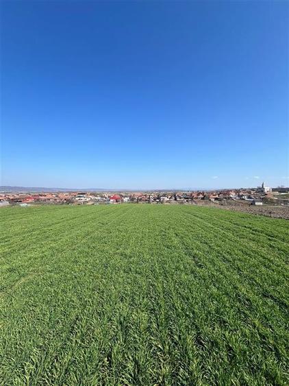 Teren extravilan de 5375 mp, în Cheriu