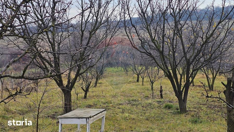 Teren de 10791 mp, în Fălticeni